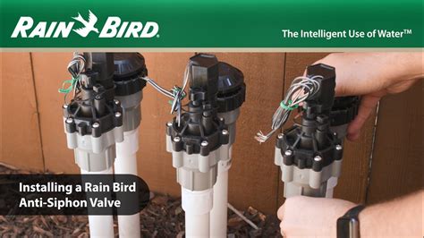 rain bird anti siphon valve leaking|Troubleshooting and Maintenance Guide for Residential